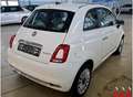 Fiat 500 1.0 Mild-Hybrid*Dolcevita*Panorama*Navi*PDC* Weiß - thumbnail 4