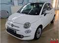 Fiat 500 1.0 Mild-Hybrid*Dolcevita*Panorama*Navi*PDC* Weiß - thumbnail 1