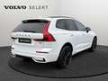 Volvo XC60 T6 Plus Black Edition /Hybride Blanc - thumbnail 2