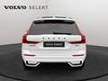 Volvo XC60 T6 Plus Black Edition /Hybride Blanc - thumbnail 6