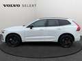 Volvo XC60 T6 Plus Black Edition /Hybride Blanc - thumbnail 4