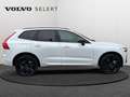 Volvo XC60 T6 Plus Black Edition /Hybride Blanc - thumbnail 7