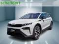 Skoda Elroq 85 Sportline Matrix Navi AHK Klimaautomatik Grau - thumbnail 1