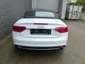 Audi A5 Cabriolet 1.8 TFSI S-Line/Navi/Xenon/Leder Weiß - thumbnail 13