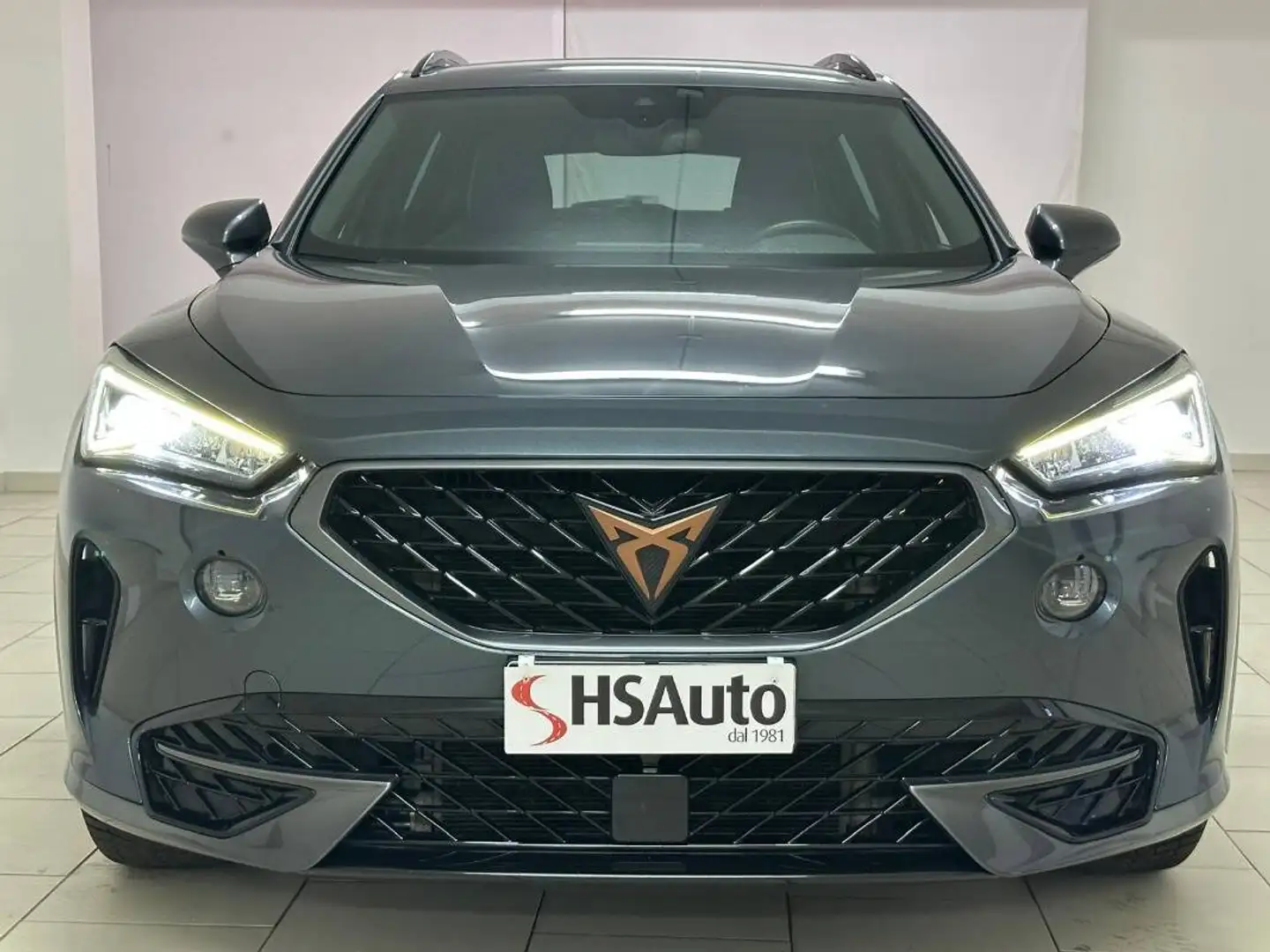 CUPRA Formentor 2.0 tdi 4drive 150cv dsg - 2