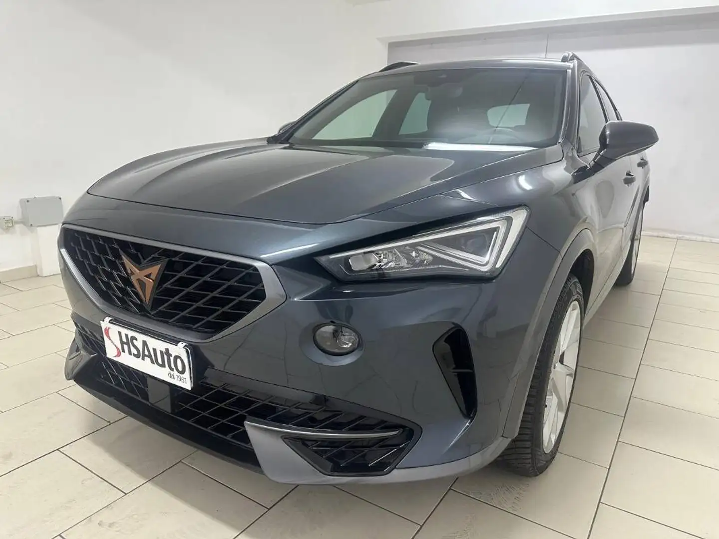 CUPRA Formentor 2.0 tdi 4drive 150cv dsg - 1