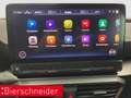 CUPRA Formentor 1.5 TSI DSG NAVI SHZ EL. KLAPPE Schwarz - thumbnail 26