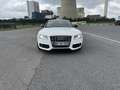 Audi S5 kvadro V8 B8 - thumbnail 13