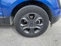 Ford EcoSport 1.0 EcoBoost 125 CV Start&Stop Plus Blu/Azzurro - thumbnail 9