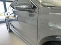 Volkswagen Tiguan 1.5 eHybrid R-Line Edition 150 PK / TREKHAAK / 3 X Gris - thumbnail 22