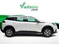 Peugeot 2008 ACTIVE PACK BEV 100KW 136 CV 5P Wit - thumbnail 13