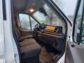Ford Transit 350 L3H2 Lkw HA Trend Weiß - thumbnail 10