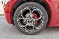 Alfa Romeo Stelvio Stelvio 2.2 Turbodiesel 210 CV AT8 Q4 Veloce Rojo - thumbnail 15