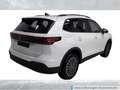 Volkswagen Tiguan 1.5 TSI DSG eHybrid Life Navi AHK Pano Ka Weiß - thumbnail 2