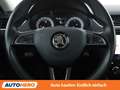 Skoda Octavia 2.0 TDI Style Limited Schwarz - thumbnail 19