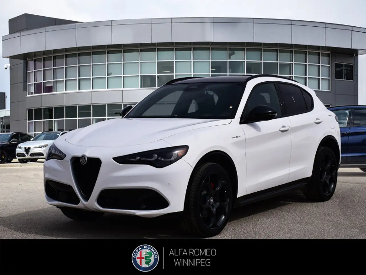 2025 Alfa Romeo Stelvio