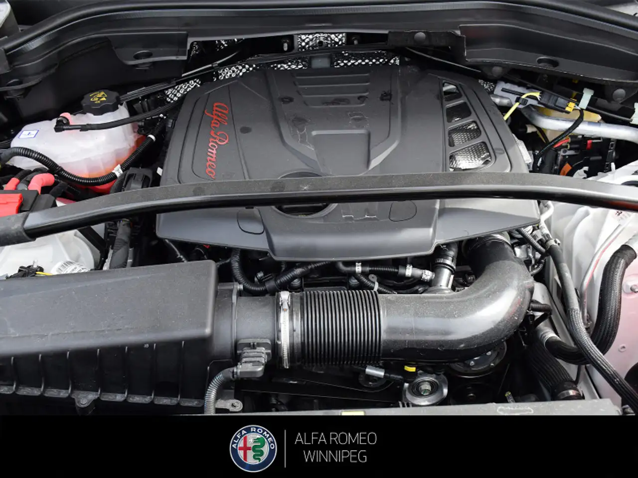Alfa Romeo Stelvio снимка Alfa Romeo Stelvio