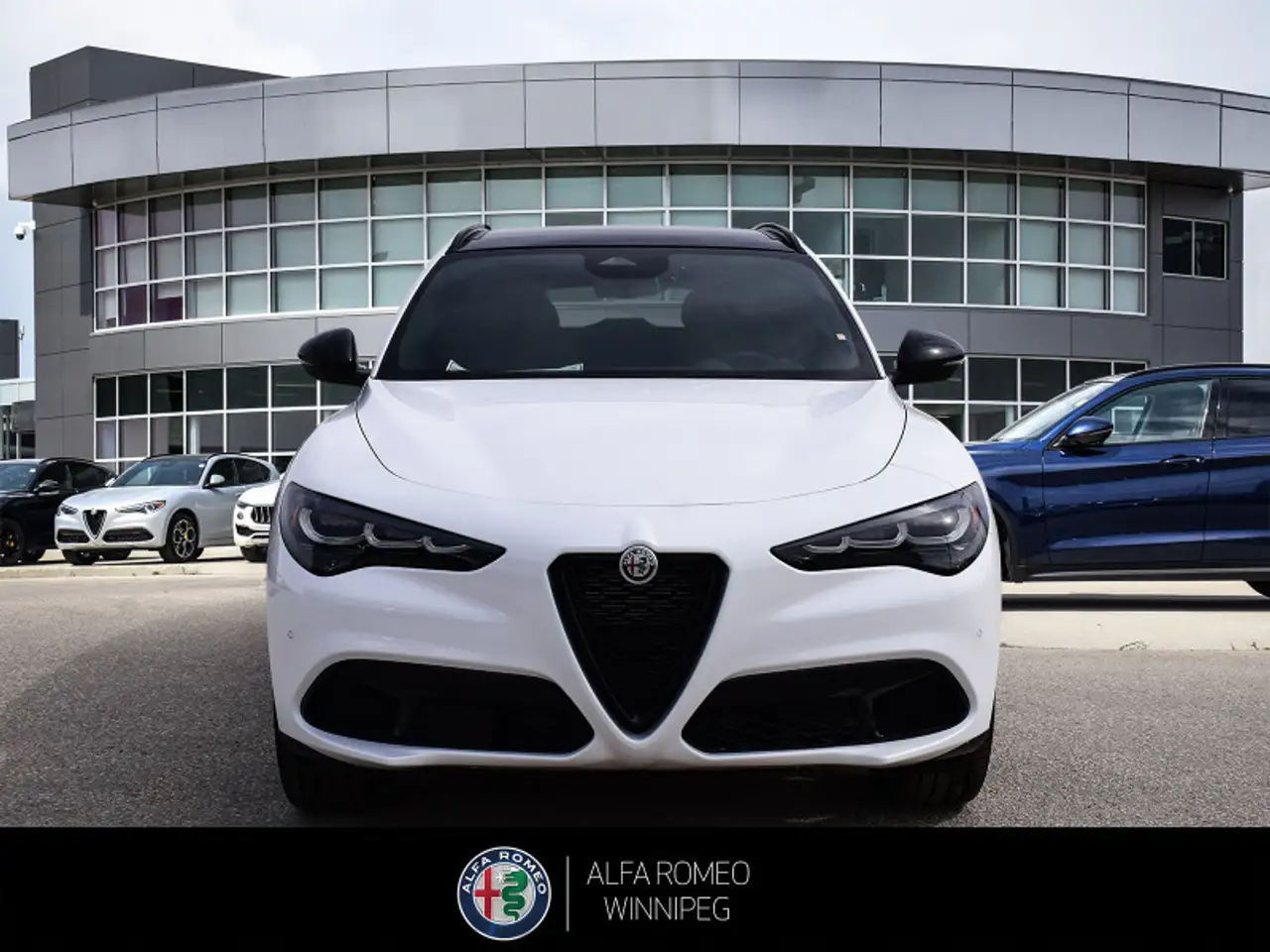Alfa Romeo Stelvio снимка Alfa Romeo Stelvio