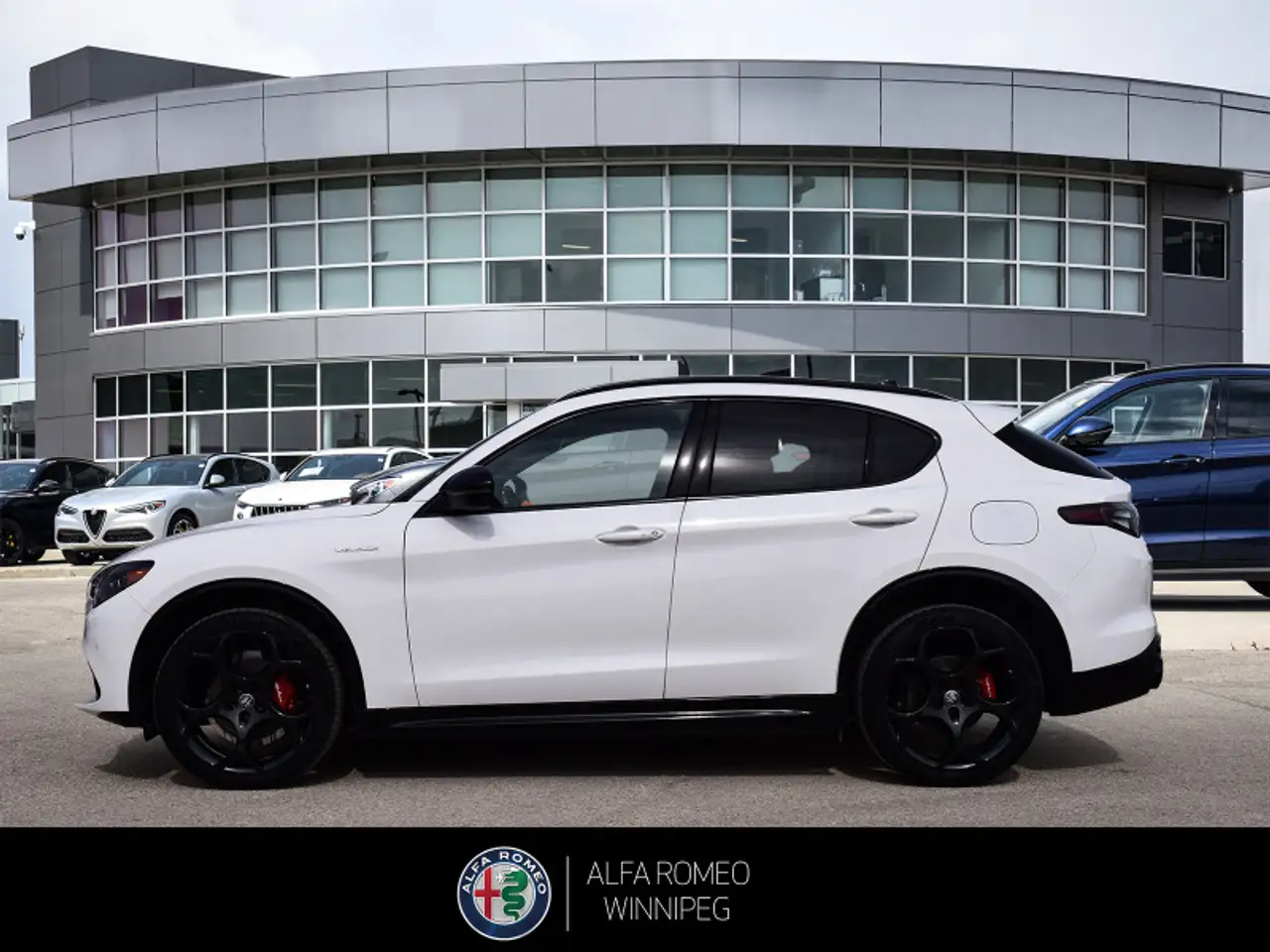Alfa Romeo Stelvio снимка Alfa Romeo Stelvio