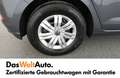 Volkswagen Polo Austria Gris - thumbnail 14