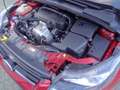 Ford Focus Wagon 1.0 EcoBoost Edition Plus Titanium | Trekhaa Rojo - thumbnail 23
