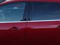 Ford Focus Wagon 1.0 EcoBoost Edition Plus Titanium | Trekhaa Rouge - thumbnail 32
