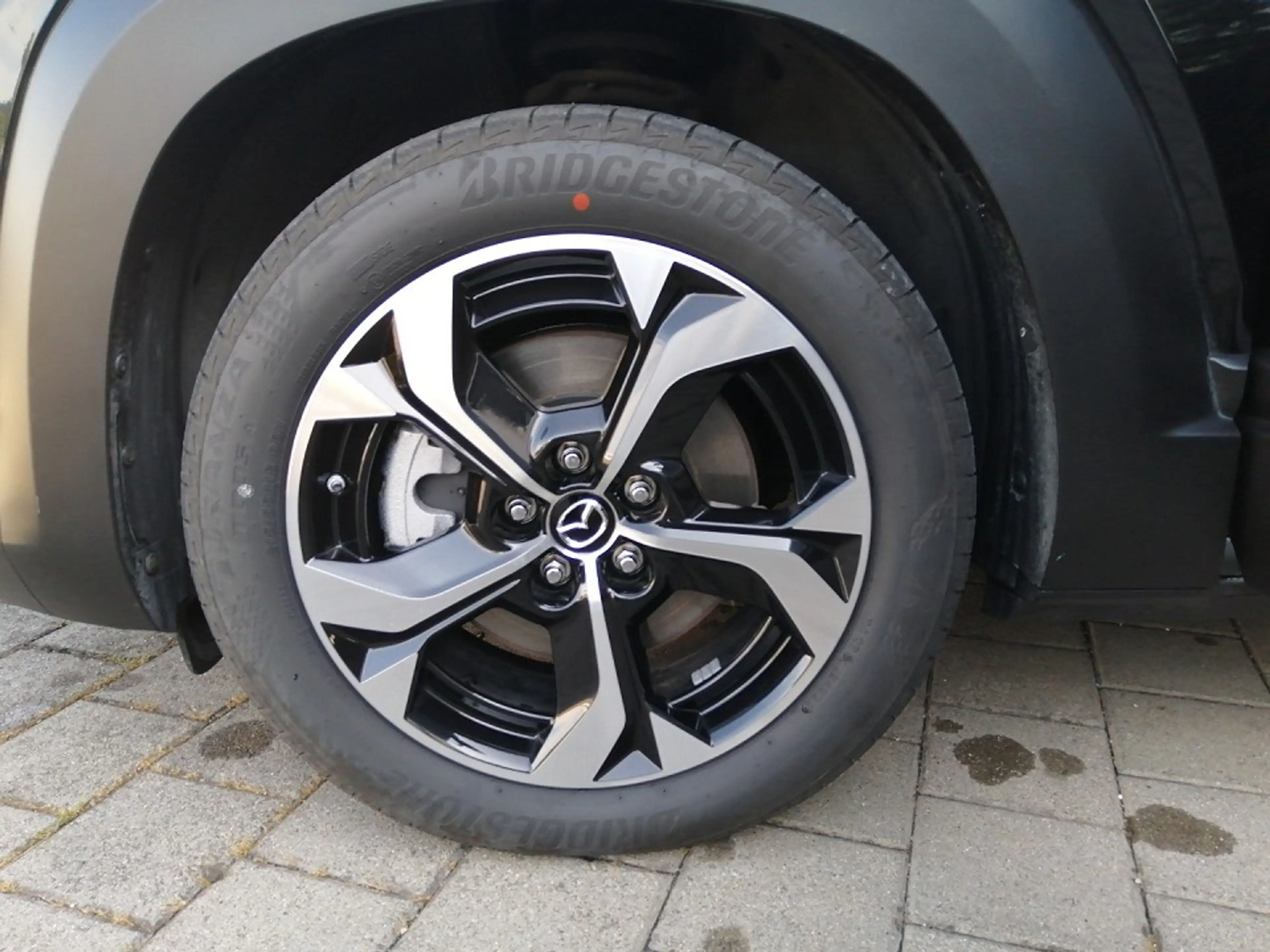 Mazda MX-30 e-SKYACTIV R-EV — photo 15