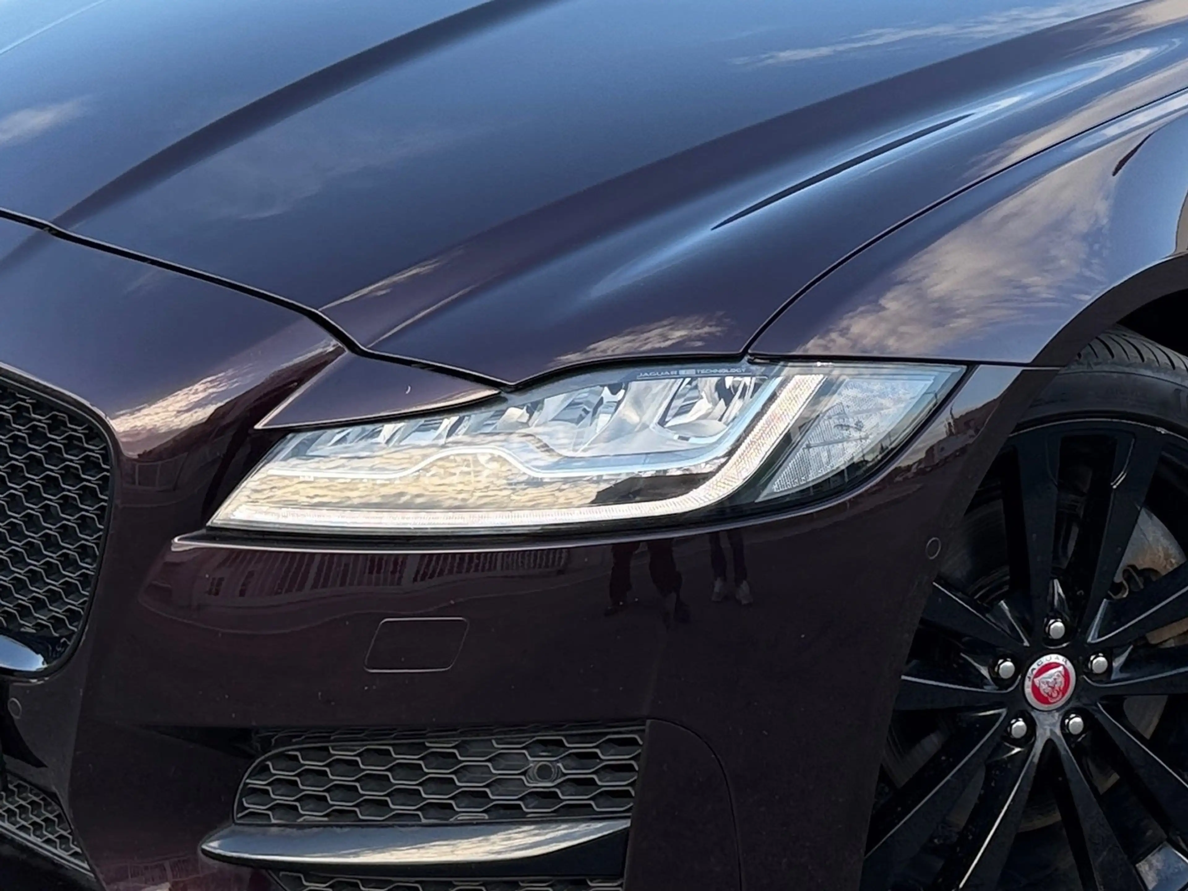 Jaguar XF 25d R-Sport AWD Aut. | Panorama | Head-UP | — photo 7