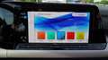 Volkswagen Golf VIII 1.5 TSI Life LED Navi Panorama PDC DAB Amarillo - thumbnail 20