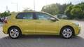 Volkswagen Golf VIII 1.5 TSI Life LED Navi Panorama PDC DAB Amarillo - thumbnail 4
