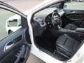 Mercedes-Benz B 200 CDI / d Urban LED Navi AHK Weiß - thumbnail 6
