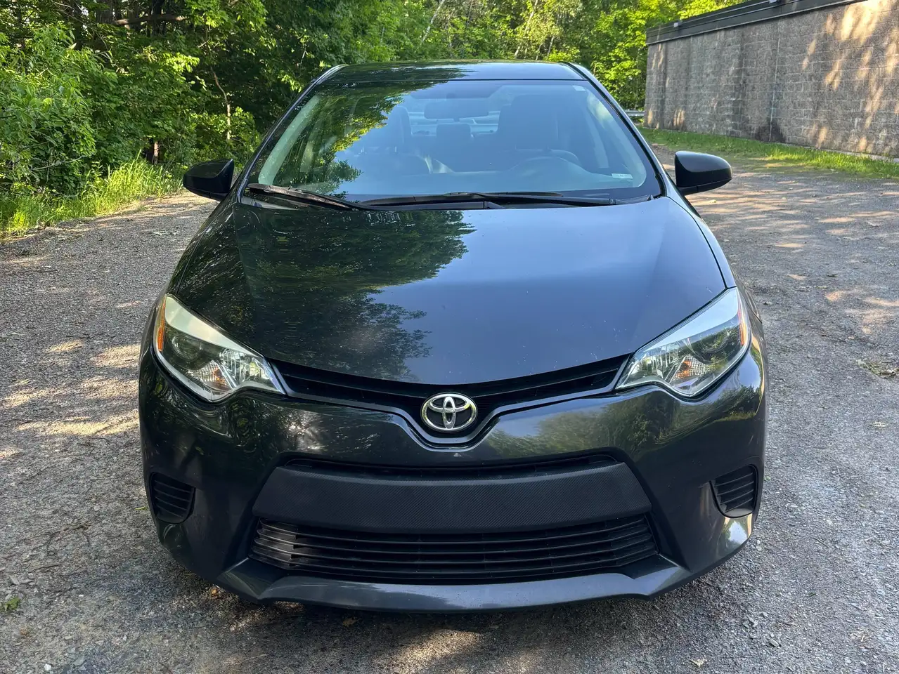 Toyota Corolla снимка Toyota Corolla