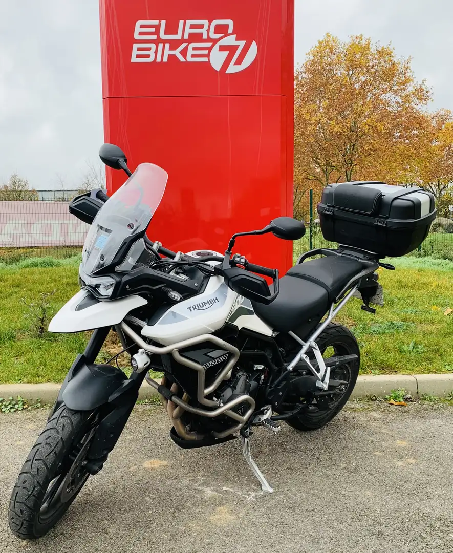 Triumph Tiger 900 Blanc - 2