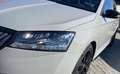 Skoda Fabia Monte Carlo * 16"  Alu * Panodach * wenig Km * Grau - thumbnail 15