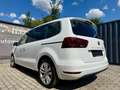 SEAT Alhambra 2.0 TDI  GT Executive Plus /AHV/Kamera/Bi-Xenon/P Weiß - thumbnail 5