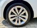 SEAT Alhambra 2.0 TDI  GT Executive Plus /AHV/Kamera/Bi-Xenon/P Weiß - thumbnail 10