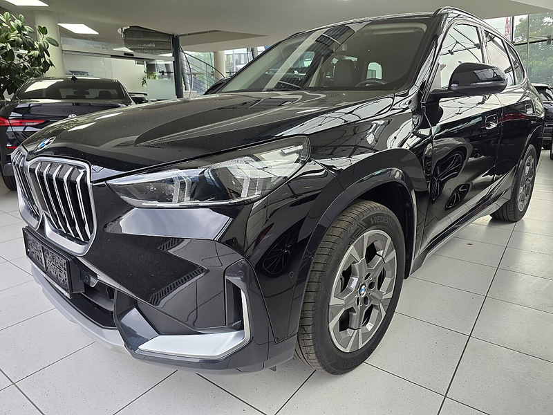 BMW X1 20d xDrive Aut. "X Line"  Vollleder/AHK/Panoram...