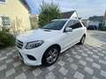 Mercedes-Benz GLE 350 d 4Matic 9G-TRONIC AMG Line - thumbnail 2