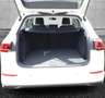 Volkswagen Golf Variant Variant 1.5 TSI 115 CV ACT Life Bianco - thumbnail 10