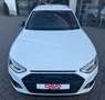 Audi S4 Avant 3.0 TDI quattro/Matrix/B&O/AHK/360°/ACC Weiß - thumbnail 4