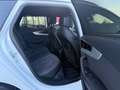 Audi S4 Avant 3.0 TDI quattro/Matrix/B&O/AHK/360°/ACC Blanc - thumbnail 23