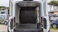 Ford Transit L2 H2 V363 TREND 2.0tdi 130cv TELECAM ANDROID/IOS Bianco - thumbnail 8
