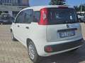Fiat Panda Panda 1.3 mjt 16v Lounge s Blanc - thumbnail 5