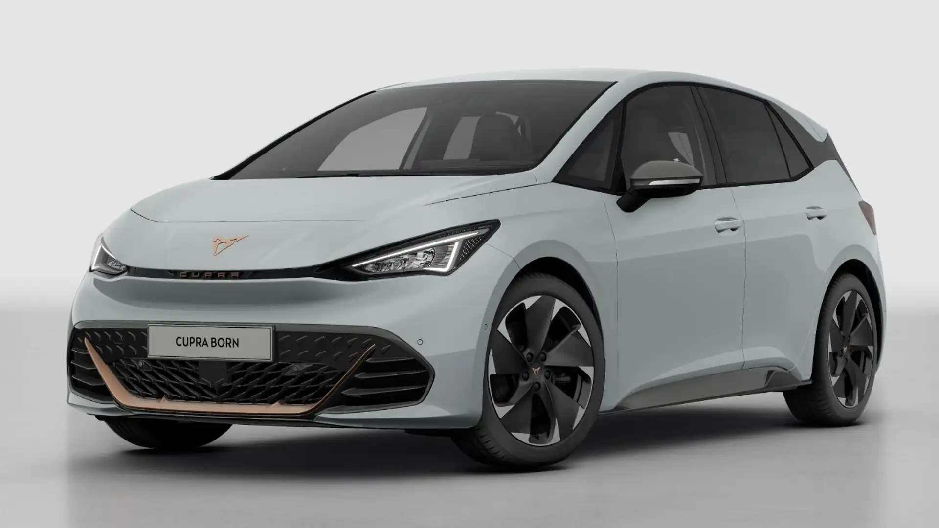 CUPRA Born Business Limited | Achteruitrijcamera | Digitaal i Wit - 1