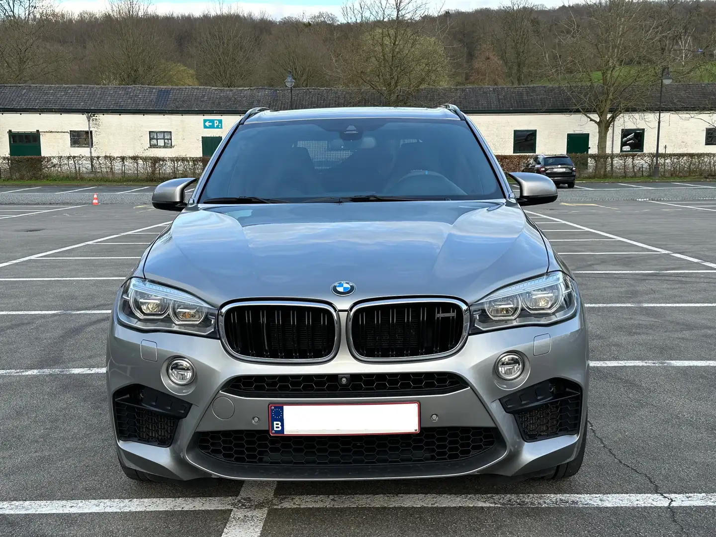 BMW X5 M 4.4AS V8 srebrna - 2