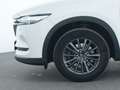 Mazda CX-5 SKYACTIV-D Head-Up|360°|CarPlay|LED|SHZ Weiß - thumbnail 13
