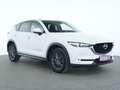 Mazda CX-5 SKYACTIV-D Head-Up|360°|CarPlay|LED|SHZ Weiß - thumbnail 4