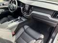 Volvo XC60 B4 Plus Dark 2WD !!!PANO+STANDHZG+AHK+BLISS Weiß - thumbnail 7