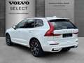 Volvo XC60 B4 Plus Dark 2WD !!!PANO+STANDHZG+AHK+BLISS Weiß - thumbnail 4