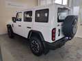 EMC 212 2.0 TDI 8AT 4WD AUTOMATICO 166 CV Weiß - thumbnail 4